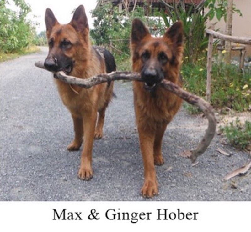 Max & Ginger Hober
