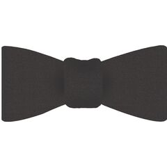 {[en]:Charcoal Gray Satin Silk Bow Tie