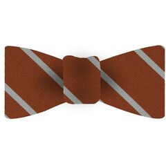 {[en]:The Longhorn Silk Bow Tie