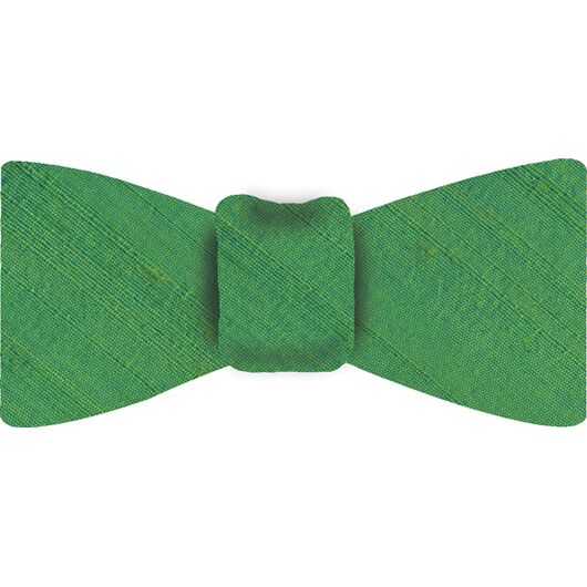 {[en]:Lime Green Thai Rough Silk Bow Tie