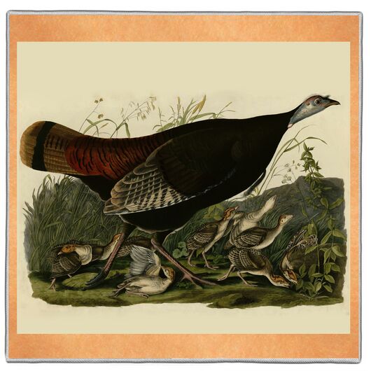{[en]:Wild Turkey - Audubon Pocket Square