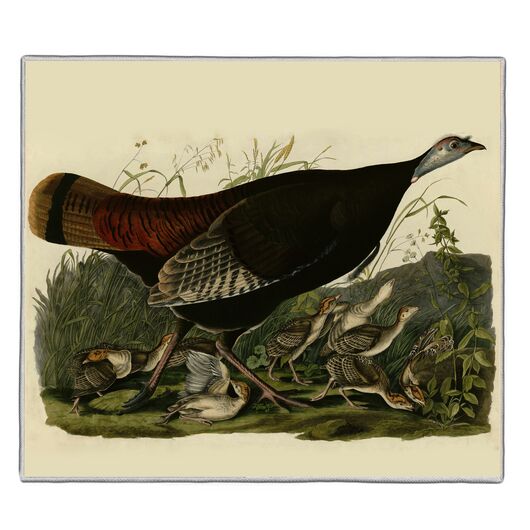 {[en]:Wild Turkey - Audubon Pocket Rectangle