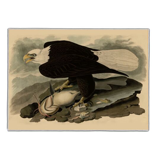 {[en]:White Headed Eagle - Audubon Pocket Rectangle